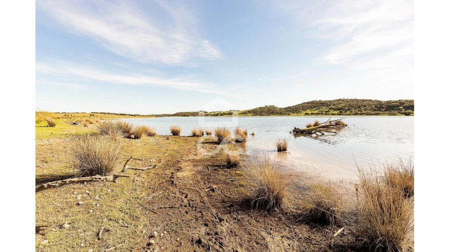 Terreno para Venda em Nossa Senhora da Conceição, São Brás dos Matos, Juromenha Foto 30