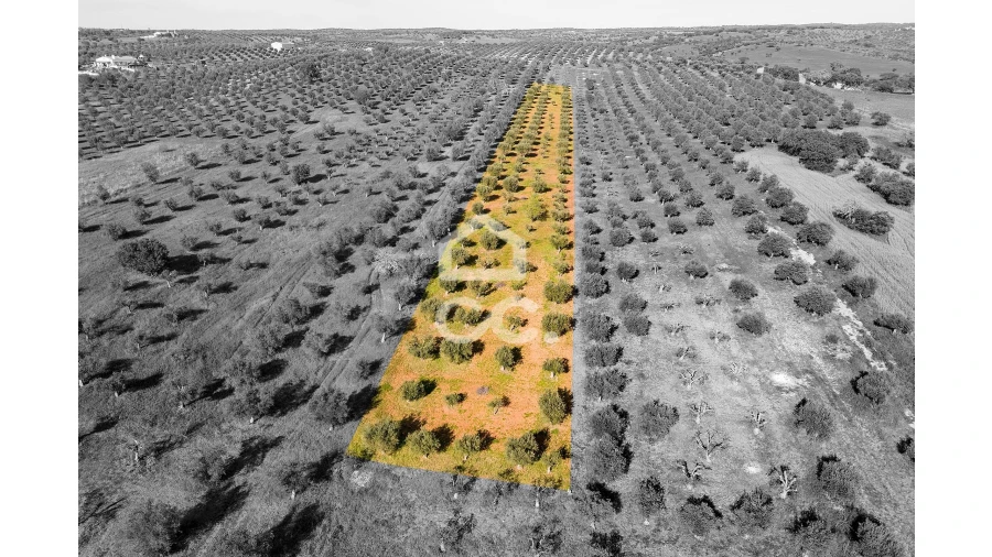 Terreno para Venda em Nossa Senhora da Conceição, São Brás dos Matos, Juromenha Foto 22