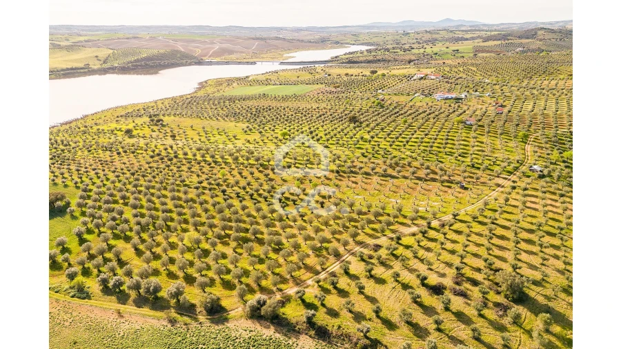 Terreno para Venda em Nossa Senhora da Conceição, São Brás dos Matos, Juromenha Foto 7