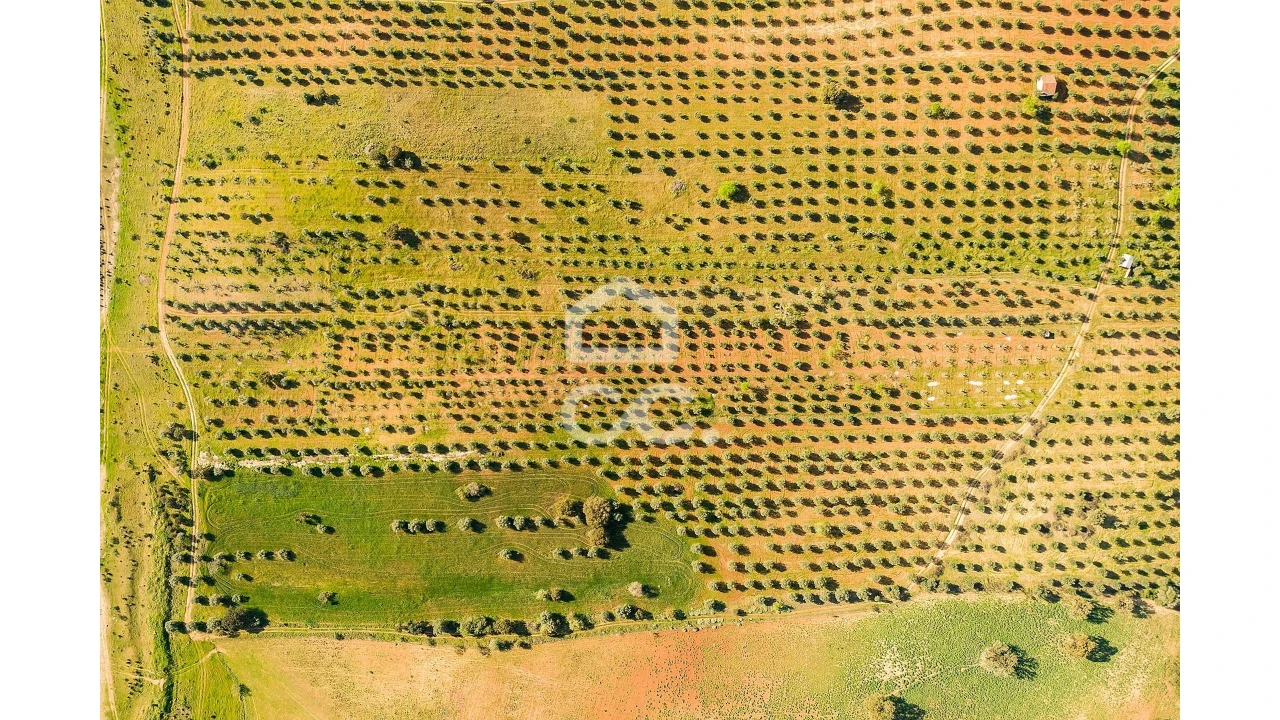 Terreno para Venda em Nossa Senhora da Conceição, São Brás dos Matos, Juromenha Foto 20
