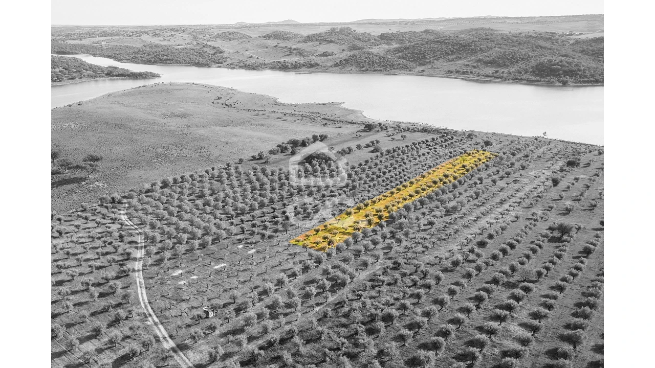 Terreno para Venda em Nossa Senhora da Conceição, São Brás dos Matos, Juromenha Foto 9
