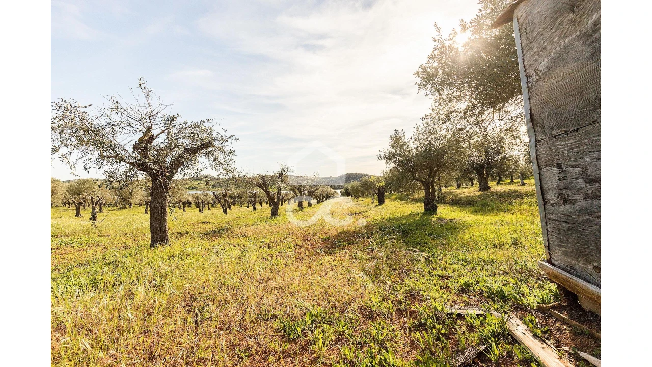 Terreno para Venda em Nossa Senhora da Conceição, São Brás dos Matos, Juromenha Foto 15