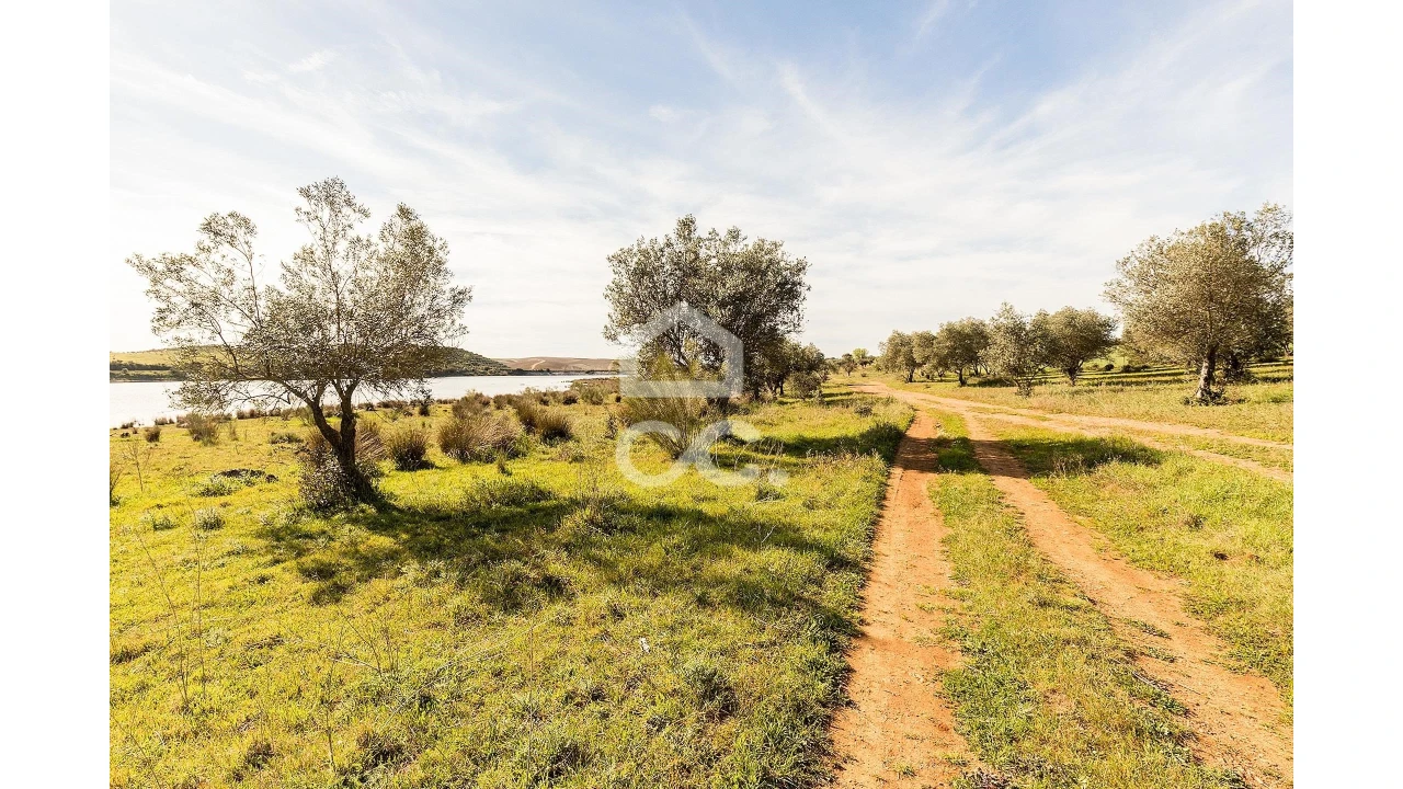 Terreno para Venda em Nossa Senhora da Conceição, São Brás dos Matos, Juromenha Foto 33
