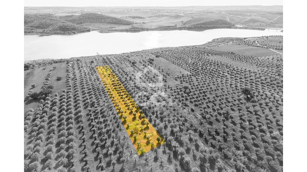 Terreno para Venda em Nossa Senhora da Conceição, São Brás dos Matos, Juromenha Foto 2