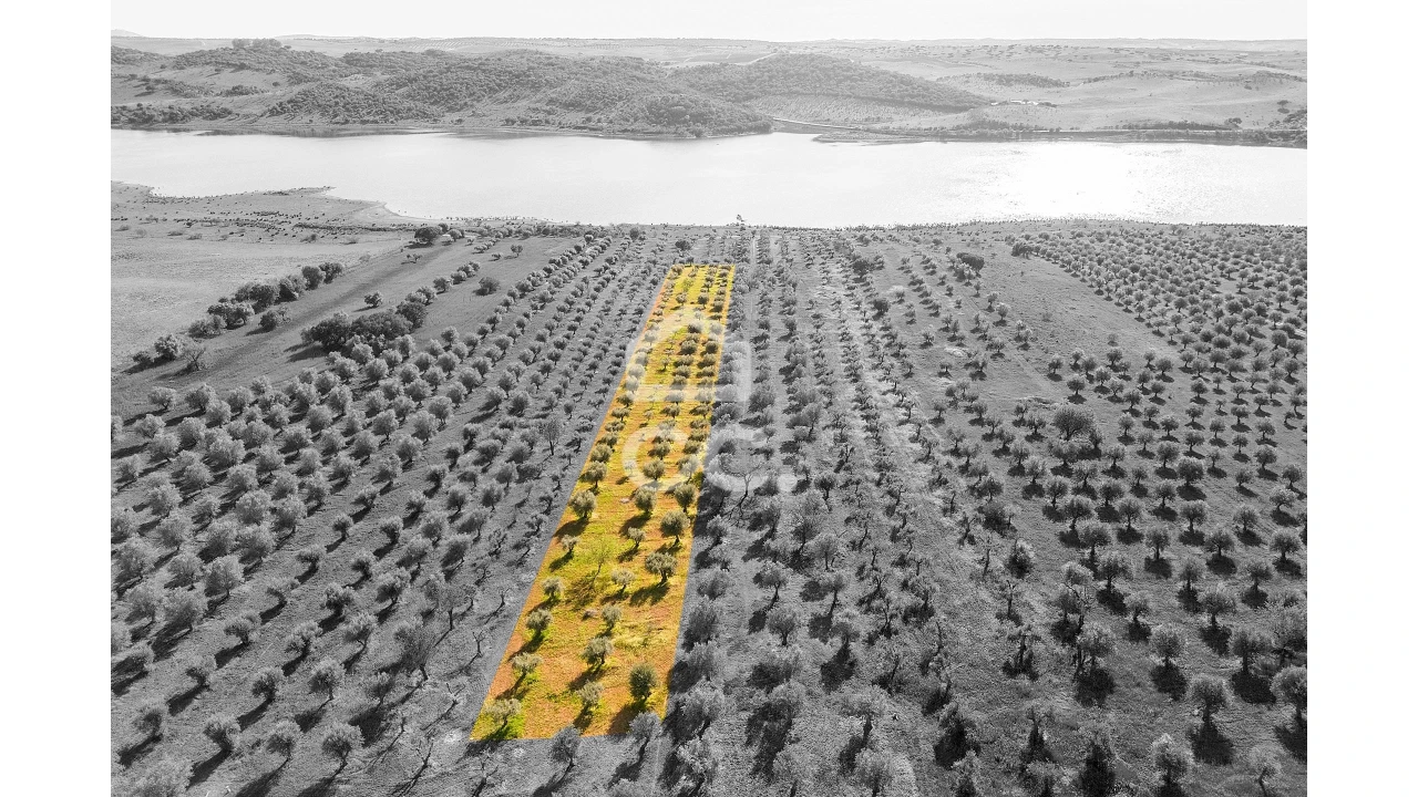 Terreno para Venda em Nossa Senhora da Conceição, São Brás dos Matos, Juromenha Foto 11