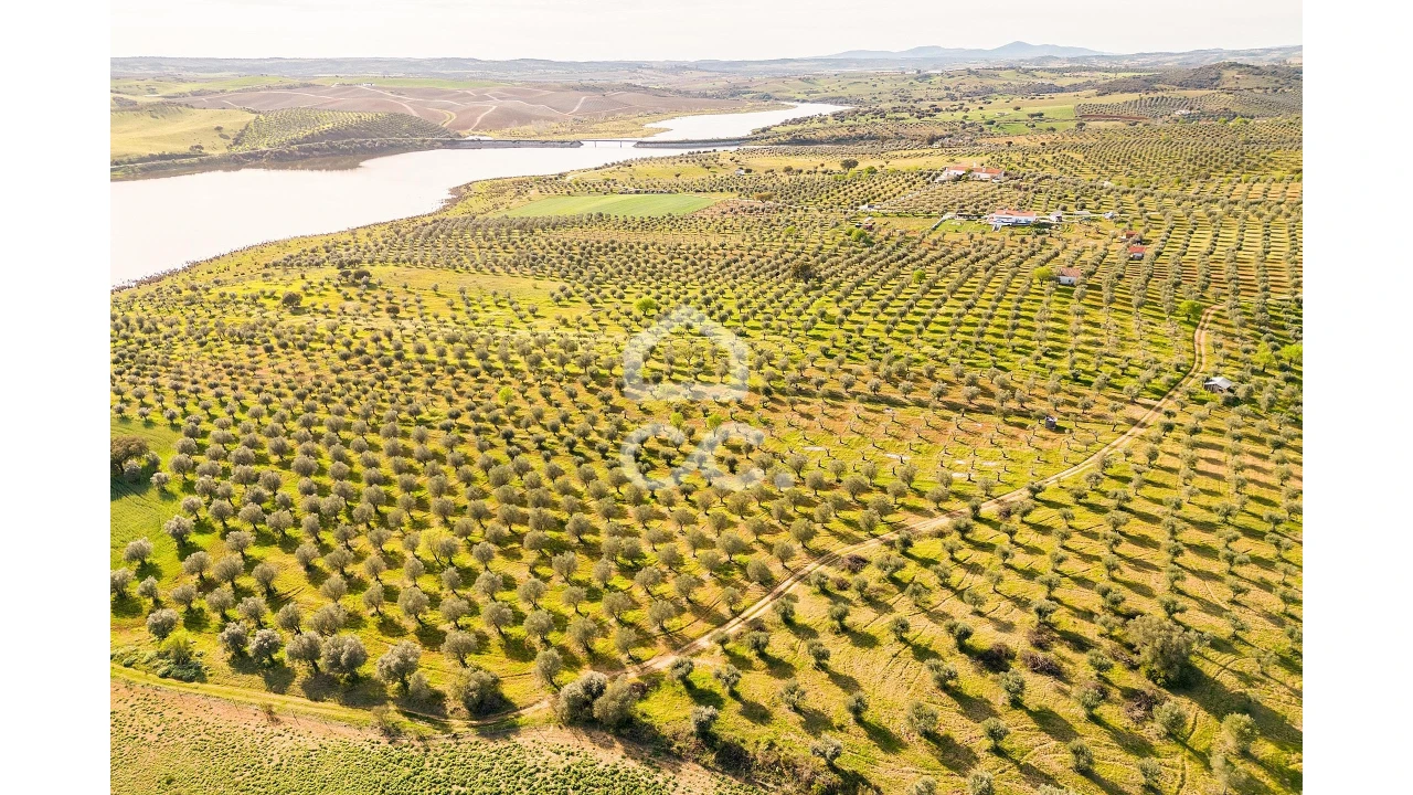 Terreno para Venda em Nossa Senhora da Conceição, São Brás dos Matos, Juromenha Foto 7