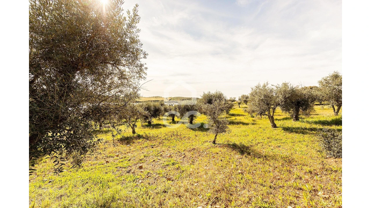 Terreno para Venda em Nossa Senhora da Conceição, São Brás dos Matos, Juromenha Foto 27