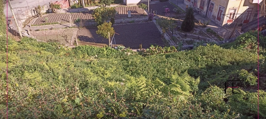 Terreno para Venda em Oliveira do Douro Foto 2