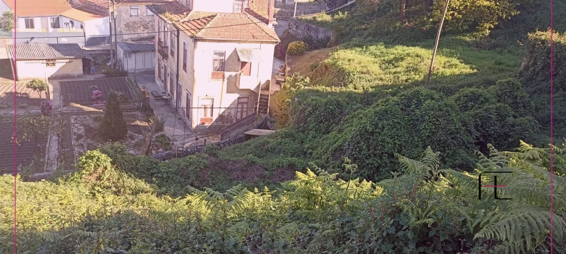 Terreno para Venda em Oliveira do Douro