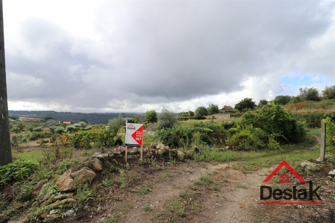 Quinta T0 para Venda em São João de Lourosa Foto 1