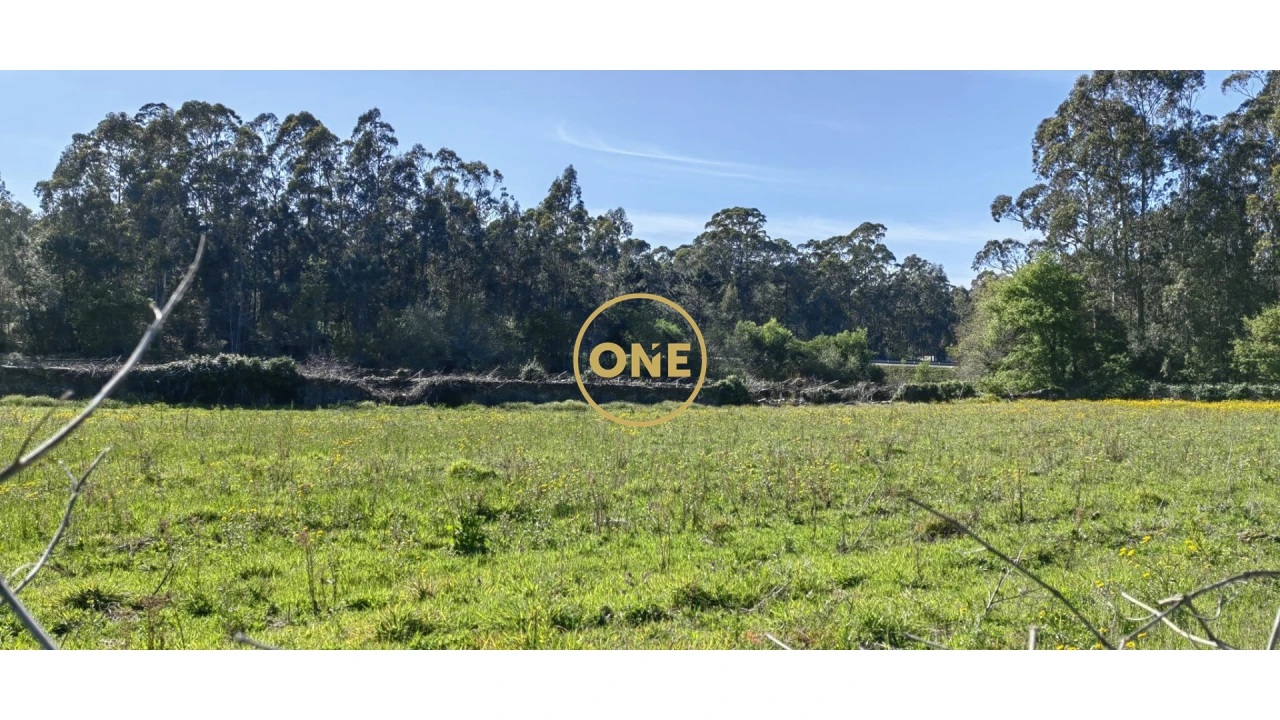 Terreno para Venda em Fonte Boa e Rio Tinto Foto 8
