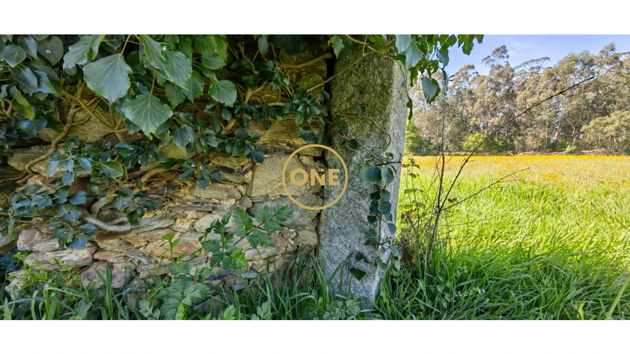 Terreno para Venda em Fonte Boa e Rio Tinto Foto 13
