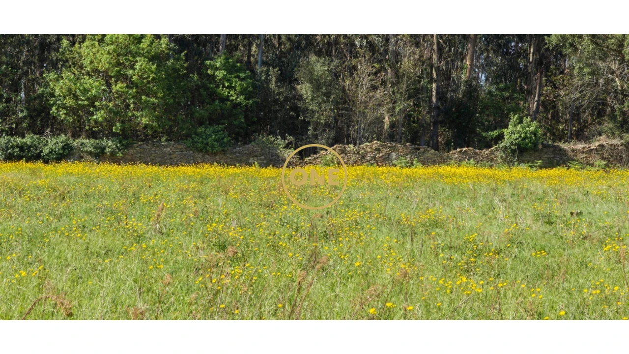 Terreno para Venda em Fonte Boa e Rio Tinto Foto 11