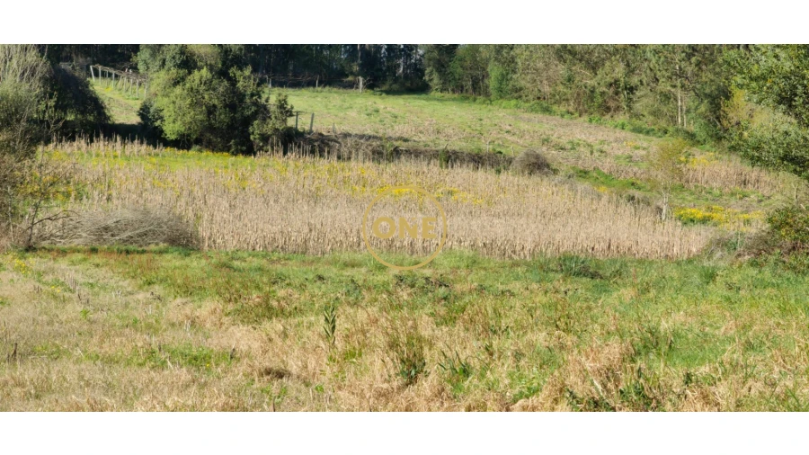 Terreno para Venda em Fonte Boa e Rio Tinto Foto 14