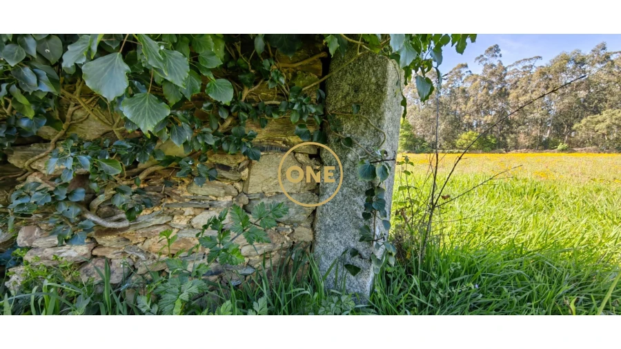 Terreno para Venda em Fonte Boa e Rio Tinto Foto 13