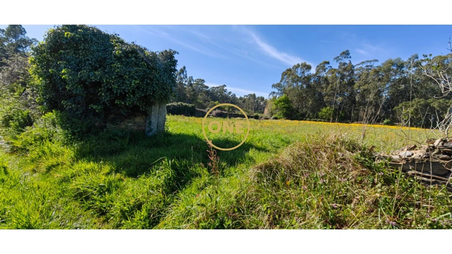 Terreno para Venda em Fonte Boa e Rio Tinto Foto 12