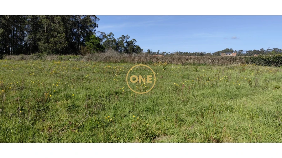 Terreno para Venda em Fonte Boa e Rio Tinto Foto 5