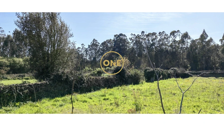 Terreno para Venda em Fonte Boa e Rio Tinto Foto 6