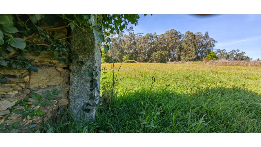 Terreno para Venda em Fonte Boa e Rio Tinto Foto 4