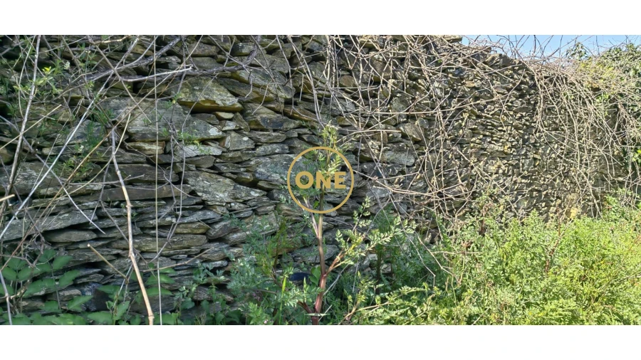 Terreno para Venda em Fonte Boa e Rio Tinto Foto 1