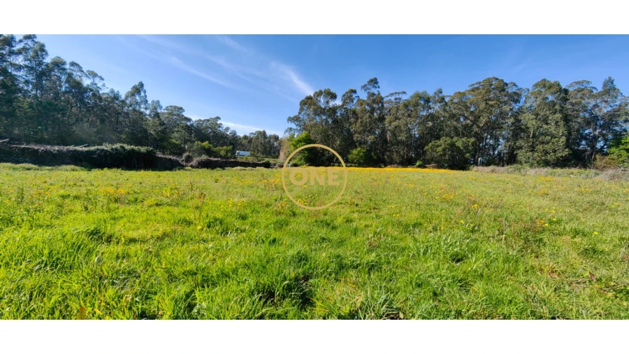 Terreno para Venda em Fonte Boa e Rio Tinto Foto 3
