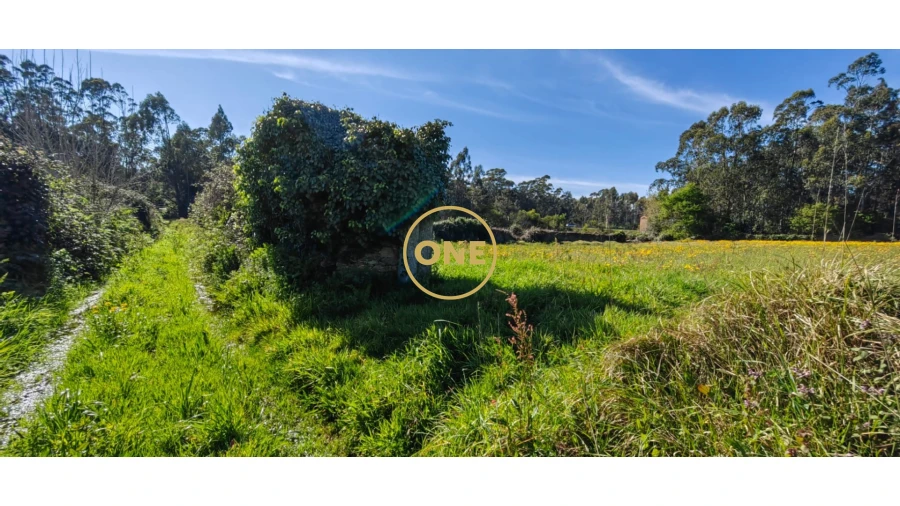 Terreno para Venda em Fonte Boa e Rio Tinto Foto 15
