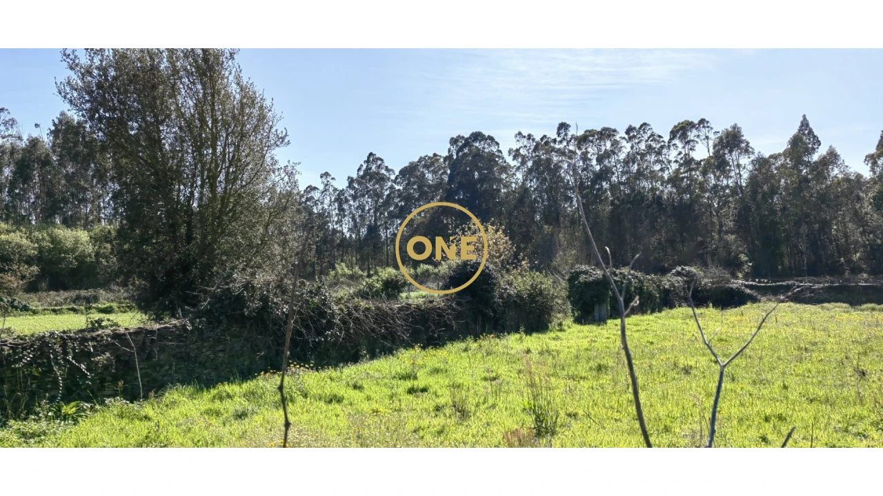 Terreno para Venda em Fonte Boa e Rio Tinto Foto 6