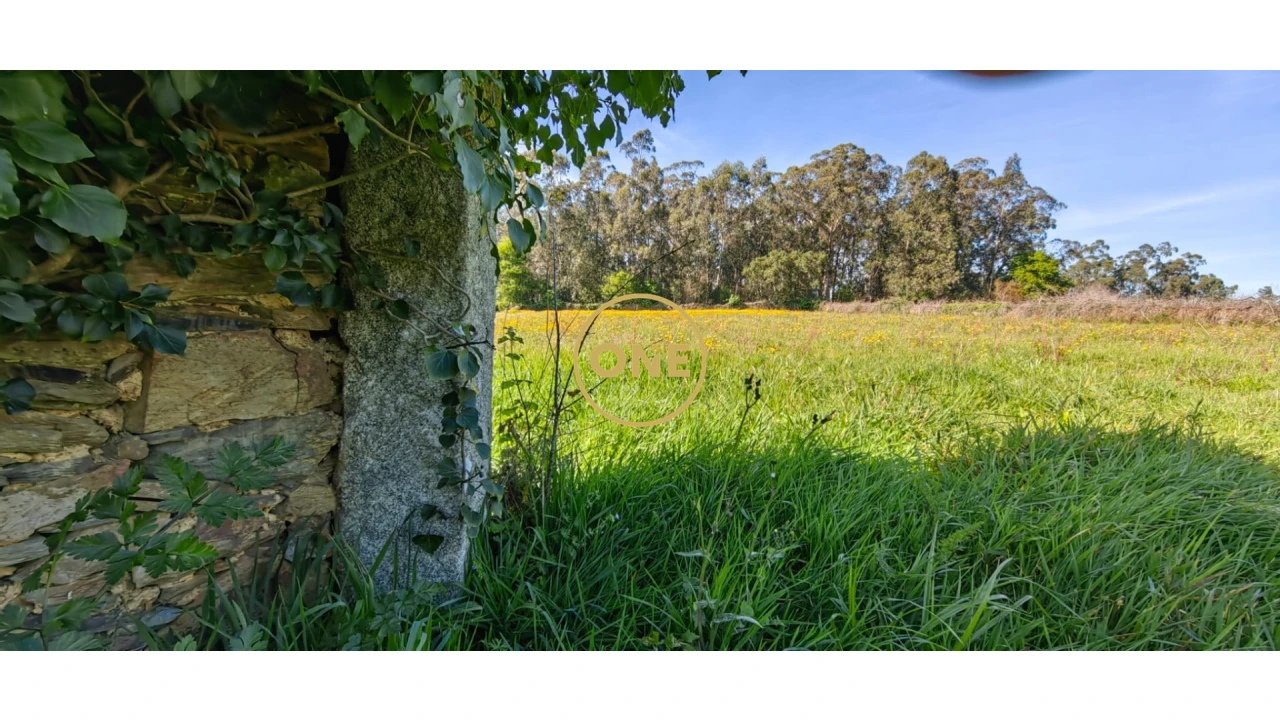 Terreno para Venda em Fonte Boa e Rio Tinto Foto 4
