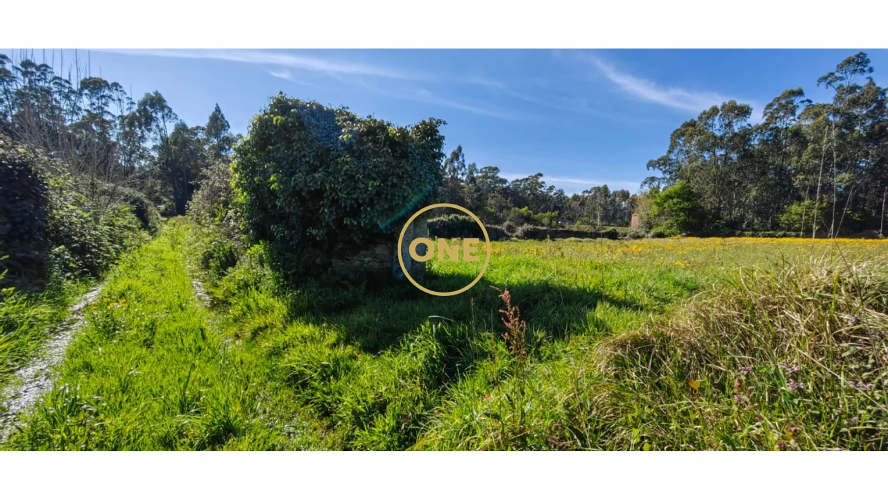 Terreno para Venda em Fonte Boa e Rio Tinto Foto 15