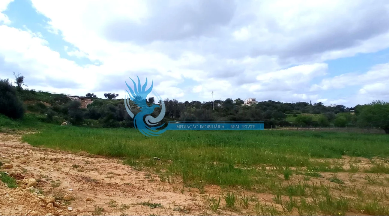 Negócio para Venda em Guia Foto 18