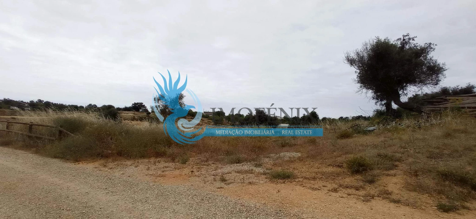 Negócio para Venda em Guia Foto 22