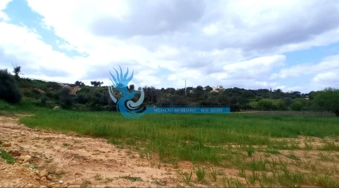 Negócio para Venda em Guia