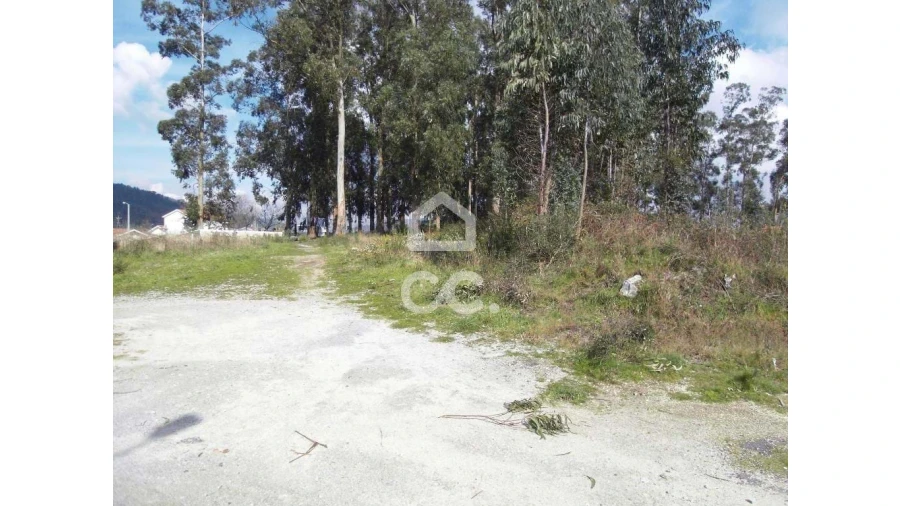 Terreno para Venda em Oliveira, São Paio e São Sebastião Foto 2
