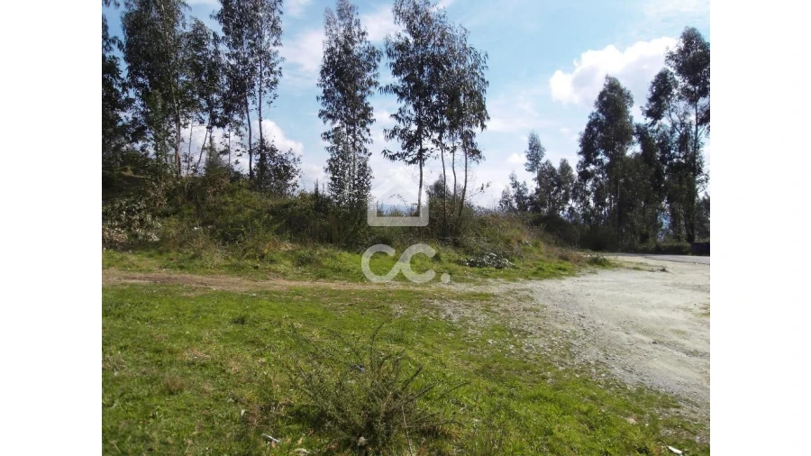 Terreno para Venda em Oliveira, São Paio e São Sebastião