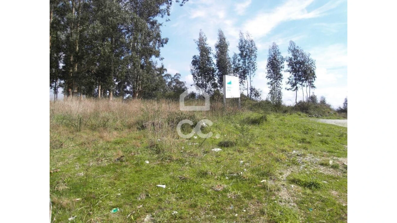 Terreno para Venda em Oliveira, São Paio e São Sebastião Foto 3