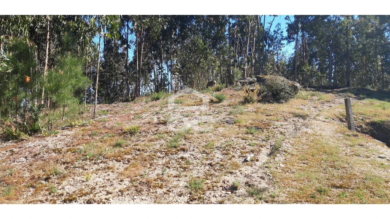 Terreno para Venda em São Tomé de Negrelos Foto 2