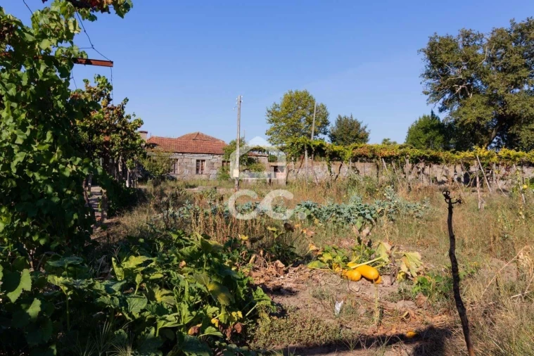 Quinta T6 para Venda em Margaride, Várzea, Lagares, Varziela, Moure Foto 13