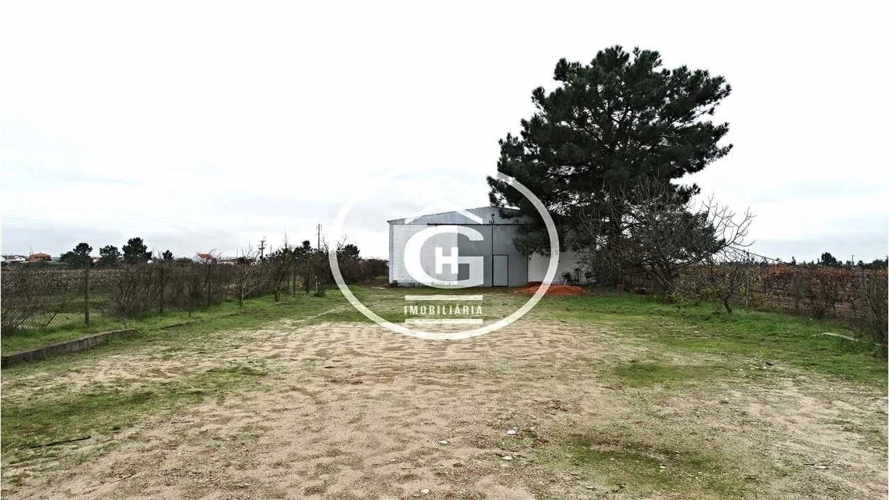 Apartamento para Venda em Alpiarça Foto 1