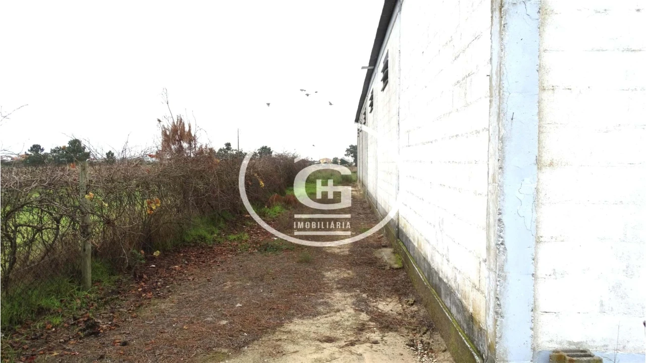 Apartamento para Venda em Alpiarça Foto 2