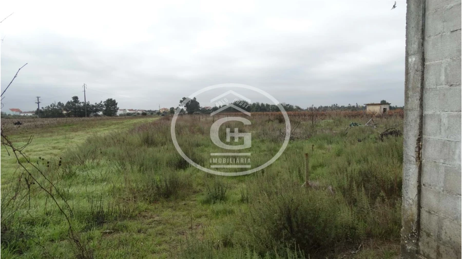 Apartamento para Venda em Alpiarça Foto 8