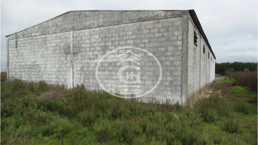 Apartamento para Venda em Alpiarça Foto 9