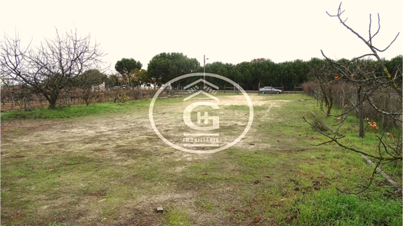 Apartamento para Venda em Alpiarça Foto 3