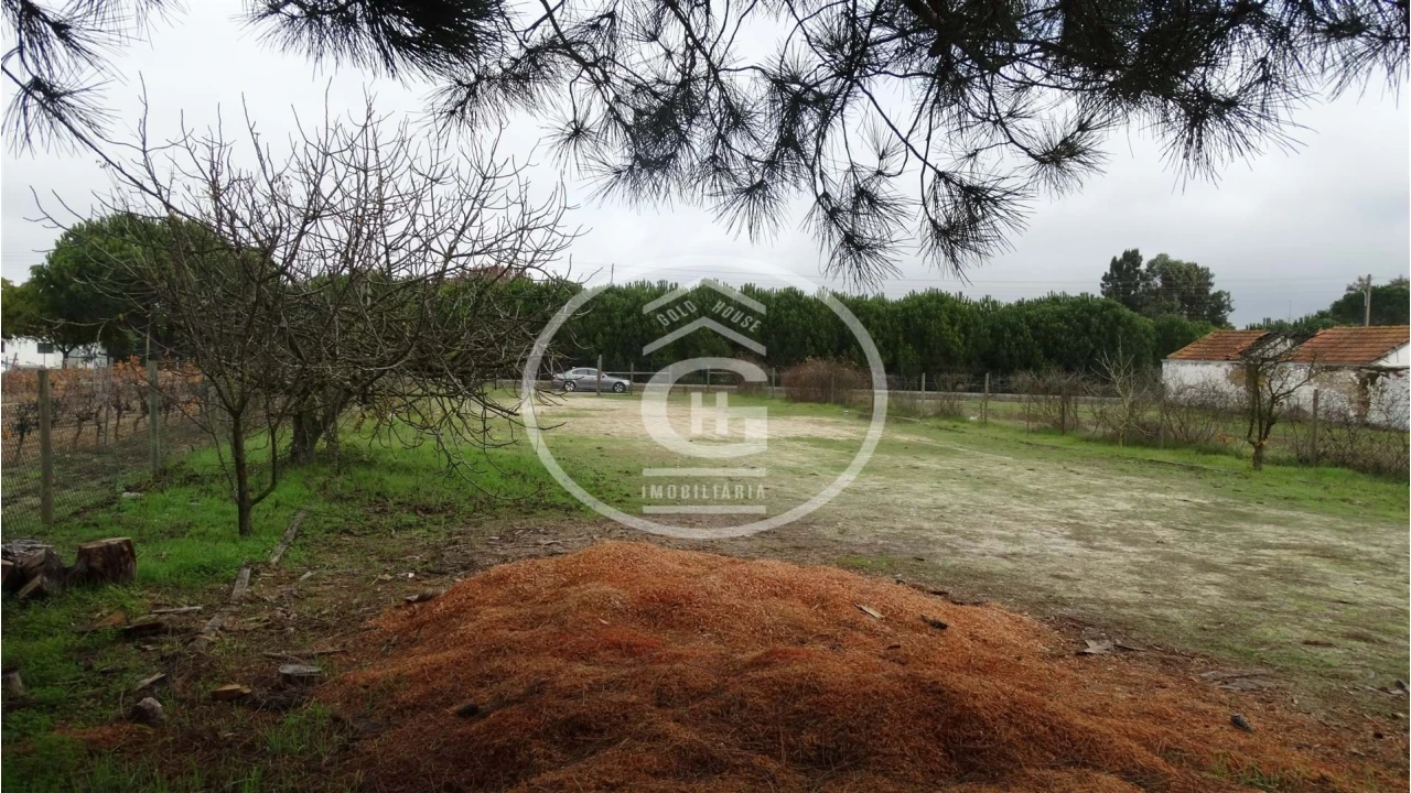 Apartamento para Venda em Alpiarça Foto 6