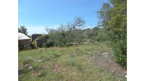 Terreno para Venda em Salir