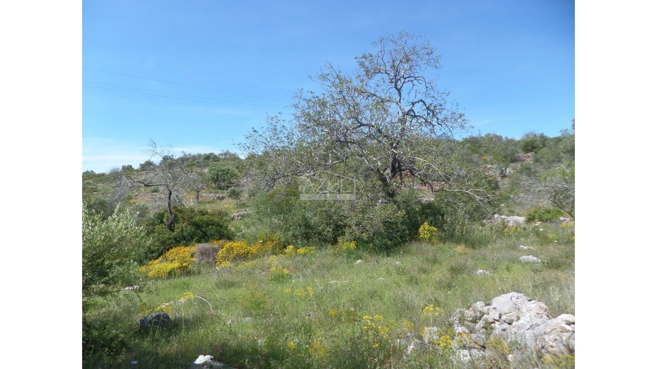 Terreno para Venda em Salir Foto 8