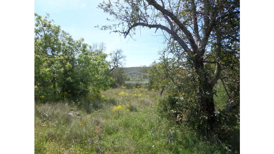 Terreno para Venda em Salir Foto 7