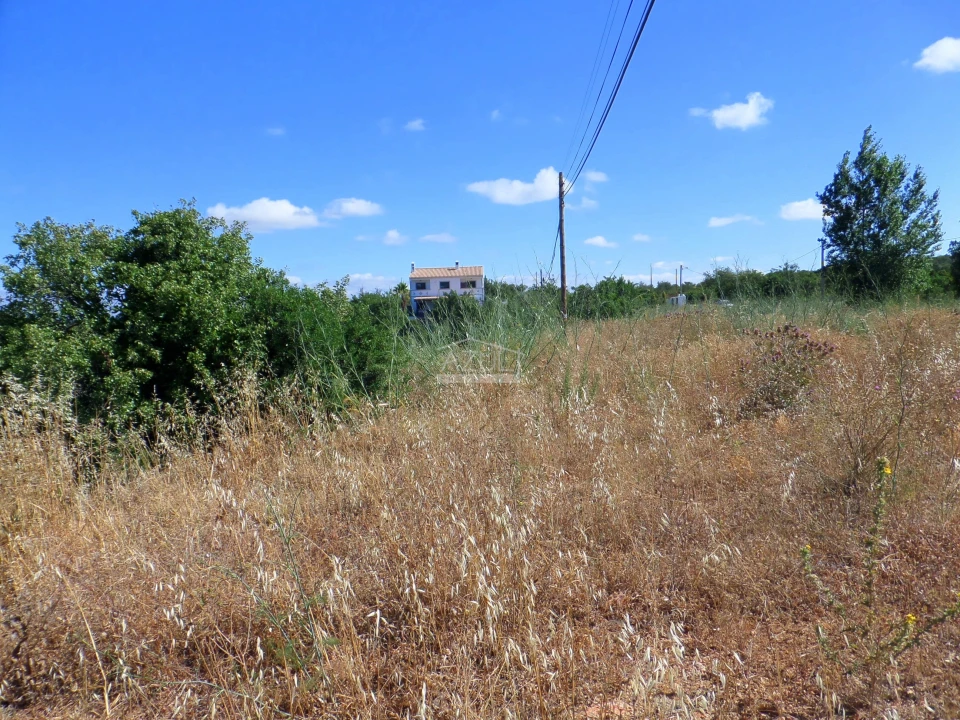 Terreno para Venda em Loule (São Sebastião) Foto 6