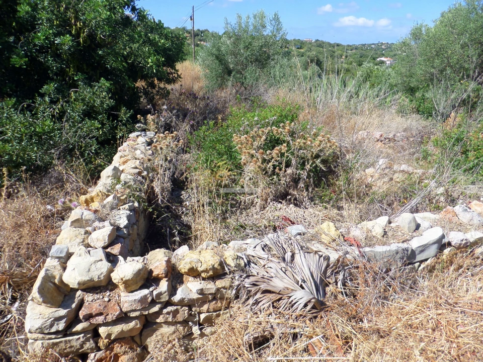 Terreno para Venda em Loule (São Sebastião) Foto 4