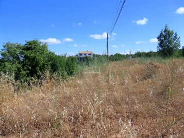 Terreno para Venda em Loule (São Sebastião)