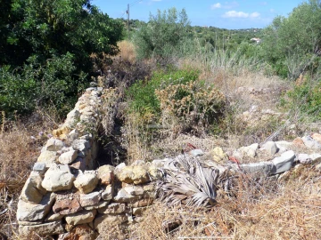 Terreno para Venda em Loule (São Sebastião)
